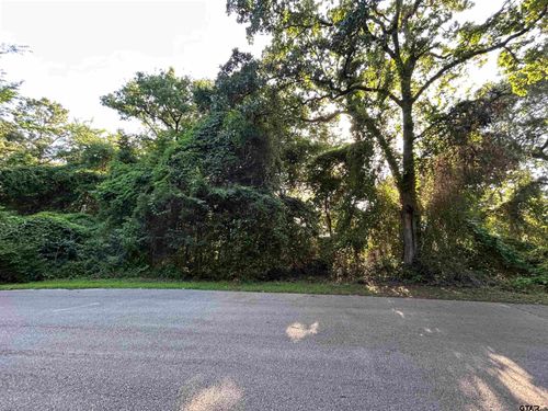 0 Lookout Lake Circle, Flint, TX, 75762 | Card Image