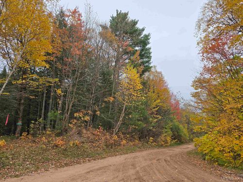 lot-171-9693N Blue Road, Nisula, MI, 49952 | Card Image