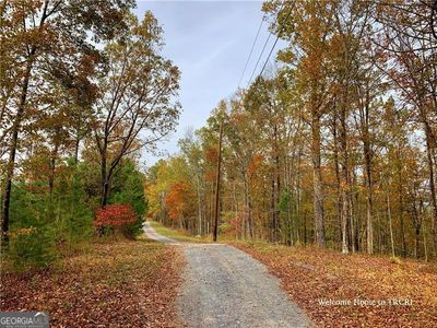 1691 Shade Tree Drive, Home with 0 bedrooms, 0 bathrooms and null parking in Talking Rock GA | Image 3