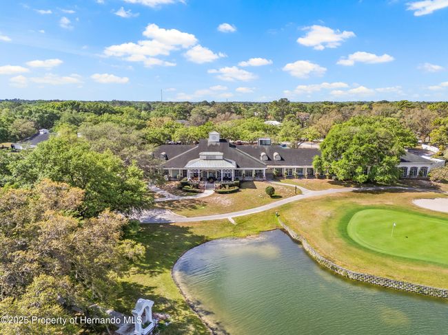 4210 Silver Berry Ct, House other with 3 bedrooms, 2 bathrooms and null parking in SPRING HILL FL | Image 48