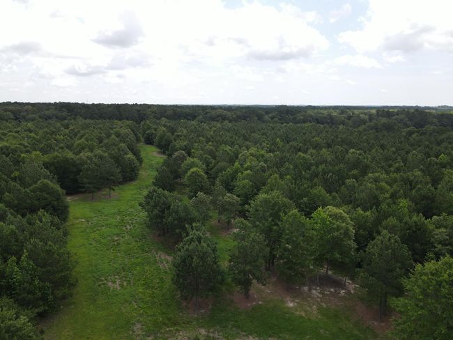 DJI_0524 | Image 5