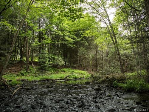 4 Chapin Trl, White Lake, NY, 12786 | Card Image