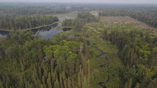 Parcel B Cherry Creek Trl, Grayling, MI, 49738 | Card Image