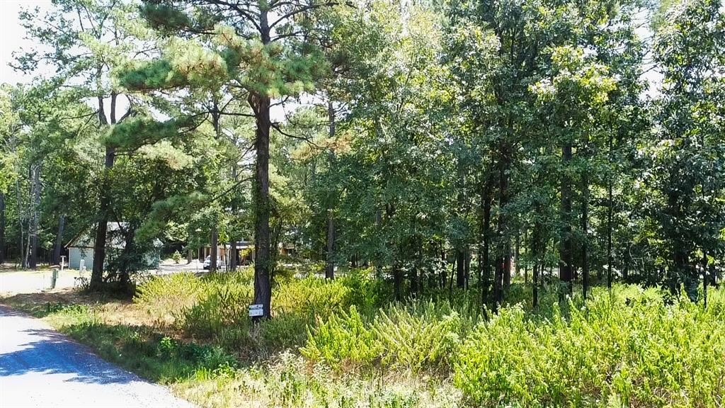 Land in Broken Bow 2