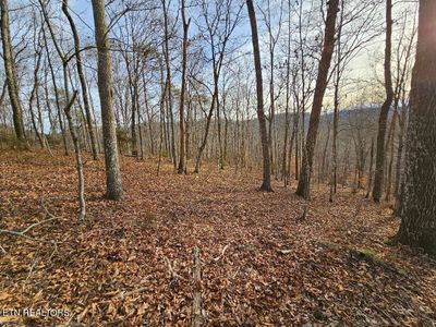 13.69ac Ward Lane, Home with 0 bedrooms, 0 bathrooms and null parking in Washburn TN | Image 3