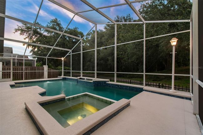 17515 Edinburgh Dr, House other with 4 bedrooms, 4 bathrooms and null parking in Tampa FL | Image 60