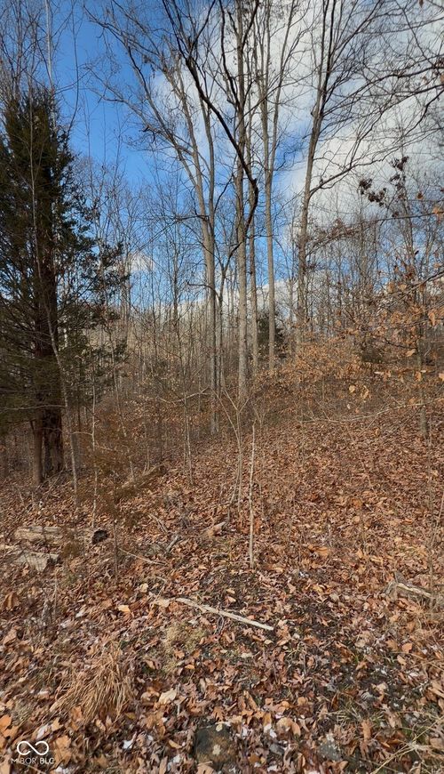 0 W Bellsville Pike Road, Nashville, IN, 47448 | Card Image