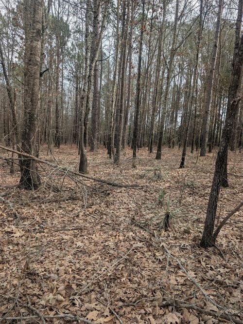 0 County Road 3427, Hawkins, TX, 75765 | Card Image