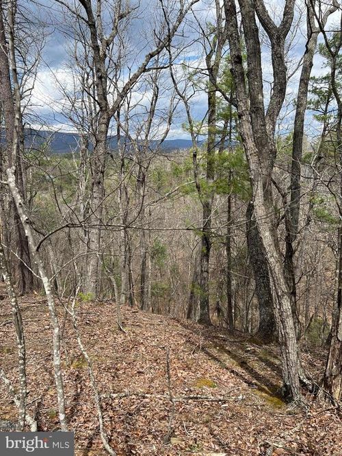 0 Valley View Rd, BASYE, VA, 22810 | Card Image