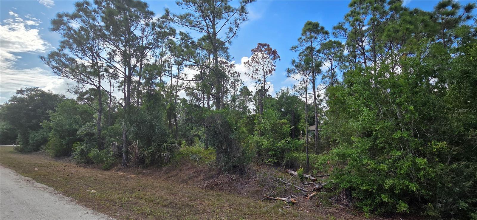 Land in PUNTA GORDA 5