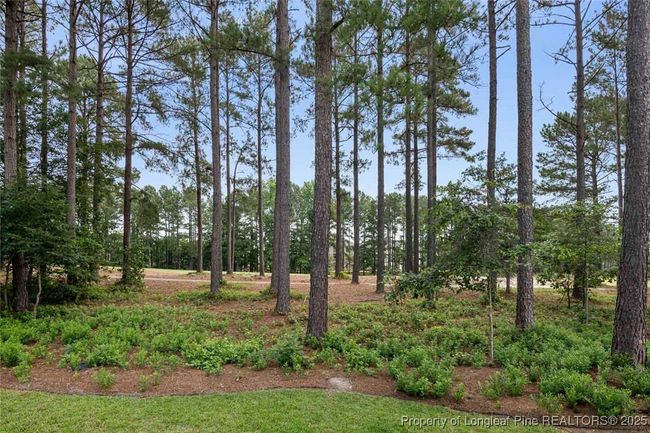 259 Rolling Pines Dr, House other with 4 bedrooms, 4 bathrooms and null parking in Spring Lake NC | Image 47