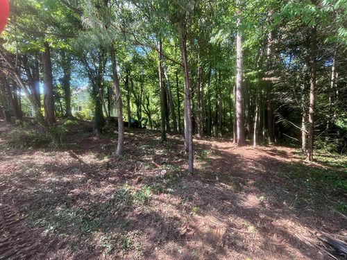 Lot 35 Ryman Ridge Rd, Dalton, GA, 30720 | Card Image