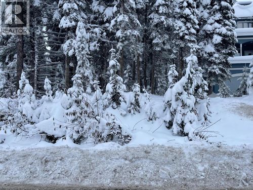 555 Monashee Rd, Silver Star Mountain, BC, V1B3W9 | Card Image