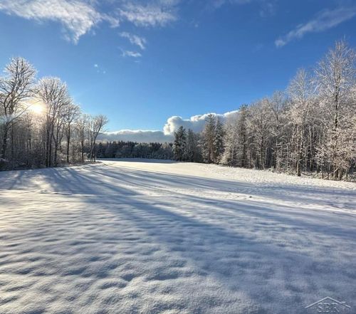 12465 Fergus Rd, Saint Charles, MI, 48655-9652 | Card Image