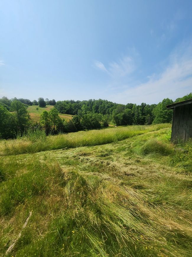 33.64 ac Davis Rd, Home with 0 bedrooms, 0 bathrooms and null parking in Livingston TN | Image 5