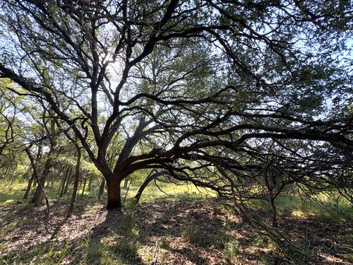 TBD Lot 3 Sandy Mountain, Sunrise Beach, TX, 78643 | Card Image