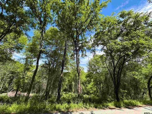 13812 Country Road 1250, Tyler, TX, 75709 | Card Image