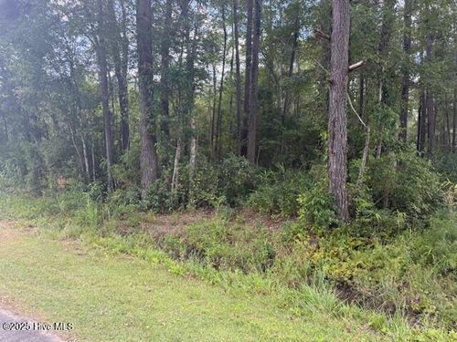 2539 Chauncey Town Rd, Lake Waccamaw, NC, 28450 | Card Image