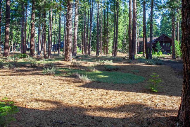 11561 Bottcher Loop, Home with 0 bedrooms, 0 bathrooms and null parking in Truckee CA | Image 15