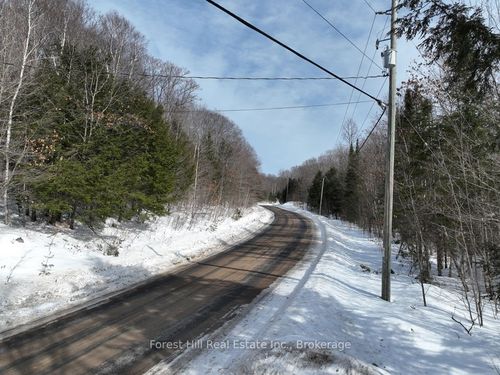 0 Livingstone Lake Rd, Dorset, ON, P0A1E0 | Card Image
