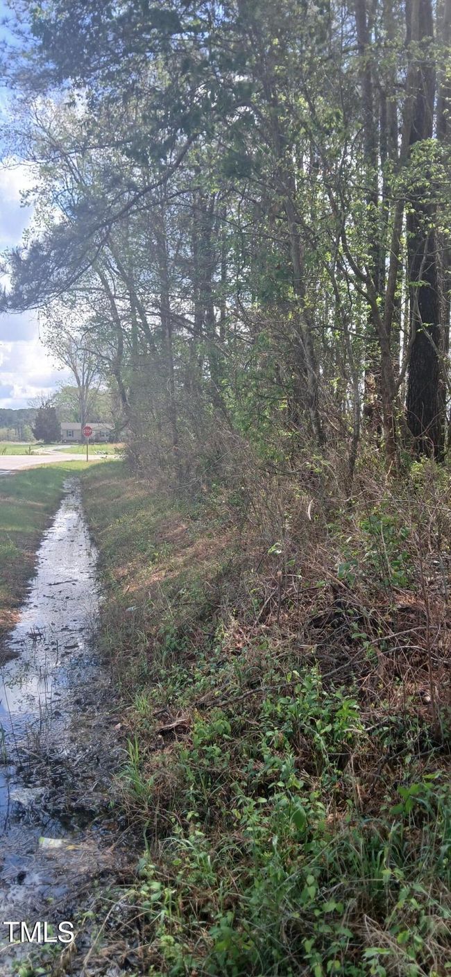 Vancant Lot | Image 6