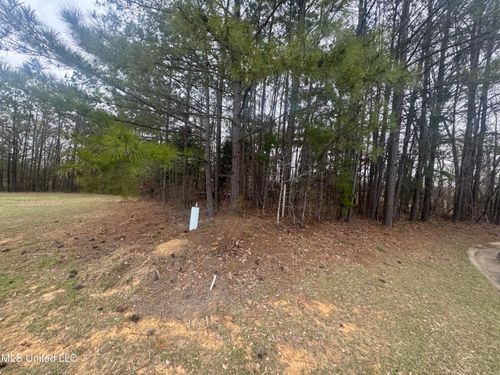 0 Kite Cv, Holly Springs, MS, 38635 | Card Image