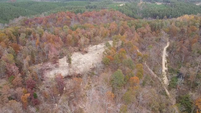 0 Mc Cord Hollow Rd, Home with 0 bedrooms, 0 bathrooms and null parking in Hohenwald TN | Image 14