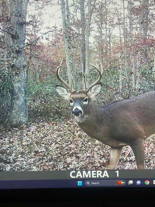 2851 Front St Street, Hammonton, NJ, 08037 | Card Image