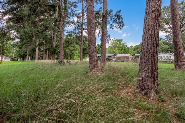 15 Hermitage, Home with 0 bedrooms, 0 bathrooms and null parking in Trinity TX | Image 10