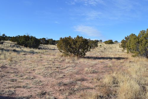 0 Tbd Prewitt, Prewitt, NM, 87045 | Card Image