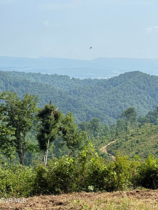 00 Heavens View Ln, Home with 0 bedrooms, 0 bathrooms and null parking in Gate City VA | Image 29