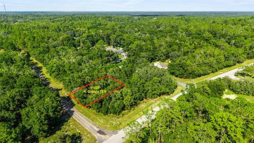 11023 N Glenda Ter, DUNNELLON, FL, 34434 | Card Image