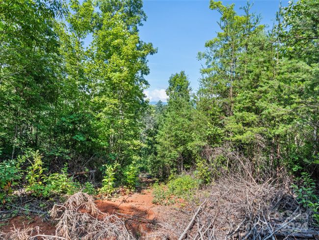 00 Ashe Loop Rd, Home with 0 bedrooms, 0 bathrooms and null parking in Sylva NC | Image 5