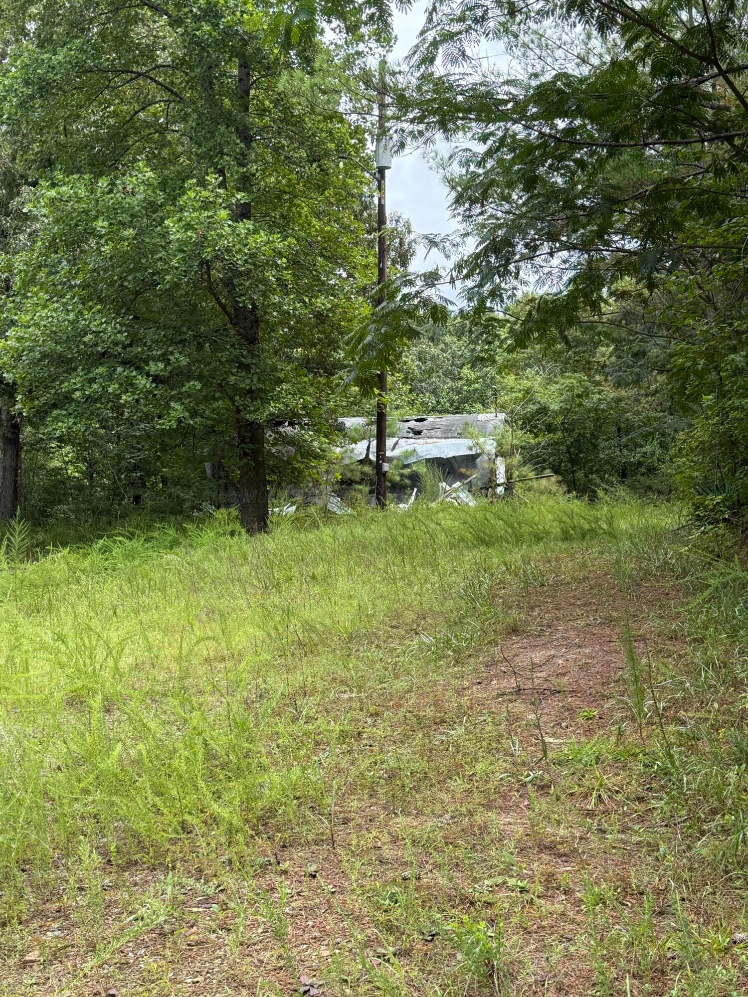 Land in Double Springs 3