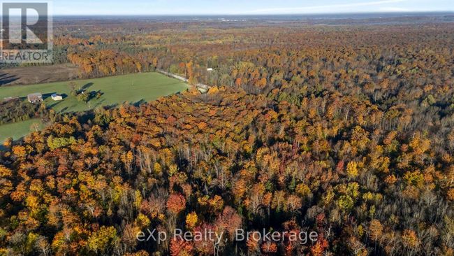 PTLT 17 Grey Road 17, Home with 0 bedrooms, 0 bathrooms and null parking in Georgian Bluffs ON | Image 8