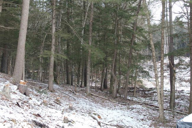 LOT-17 - 000 Wetherbee Farm Rd, Home with 0 bedrooms, 0 bathrooms and null parking in Lisbon NH | Image 11