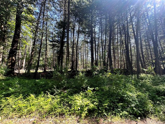 0 Crowningshield Rd, Home with 0 bedrooms, 0 bathrooms and null parking in Wilmington NY | Image 7