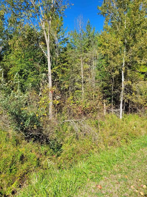 TBD LOT 59 W Berkshire Drive, Butman Township, MI, 48624 | Card Image