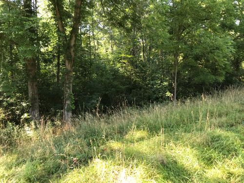 37111 Paw Paw Rd, Paw Paw, MI, 49079-9755 | Card Image