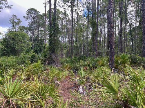 222 Marie Ave, GEORGETOWN, FL, 32139 | Card Image