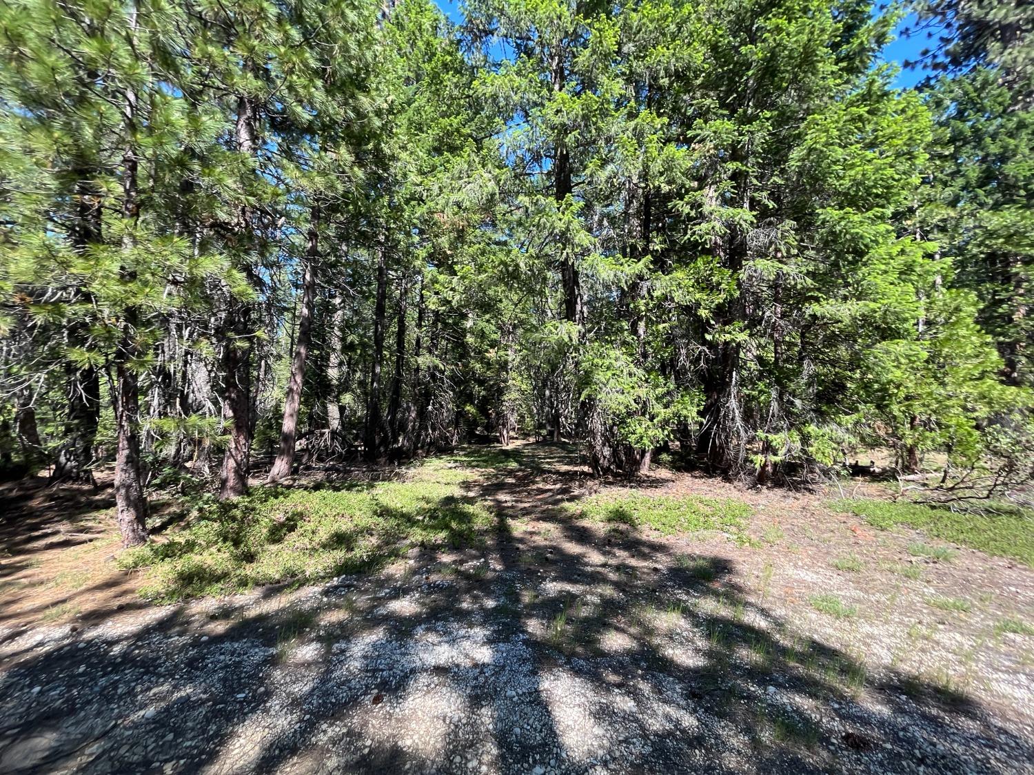 Land in Strawberry Valley