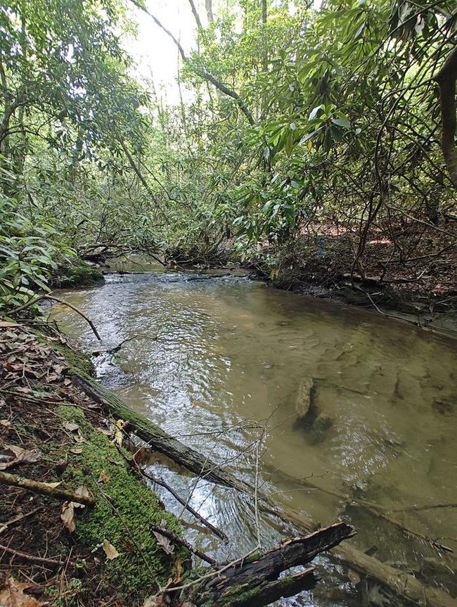 Lot 3 Megan Trace Ln, Home with 0 bedrooms, 0 bathrooms and null parking in Turtletown TN | Image 14