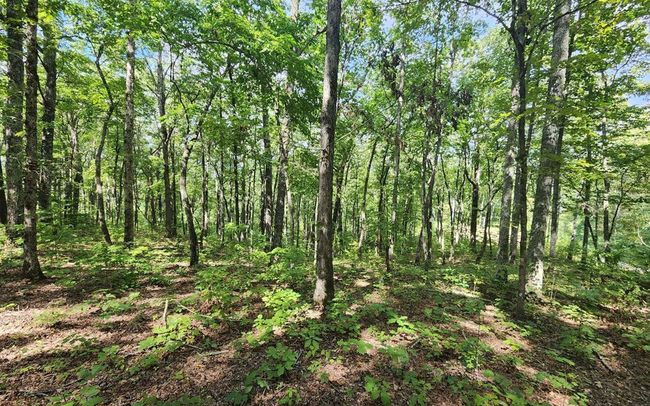 0 Lakeview Heights, Home with 0 bedrooms, 0 bathrooms and null parking in Hayesville NC | Image 4