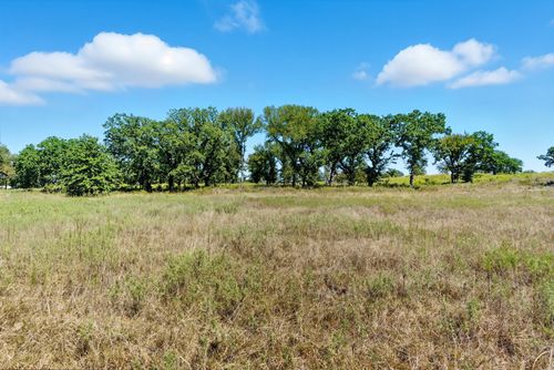 113 Homestead Ct, Lipan, TX, 76462 | Card Image