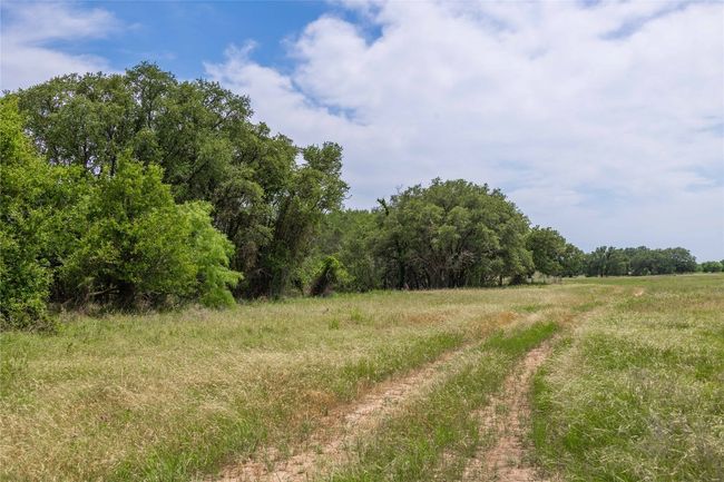 1183 Us Highway 84 W, Home with 3 bedrooms, 3 bathrooms and null parking in Mullin TX | Image 5