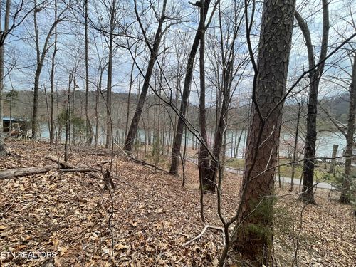 119 Peninsula Rd, Madisonville, TN, 37354 | Card Image