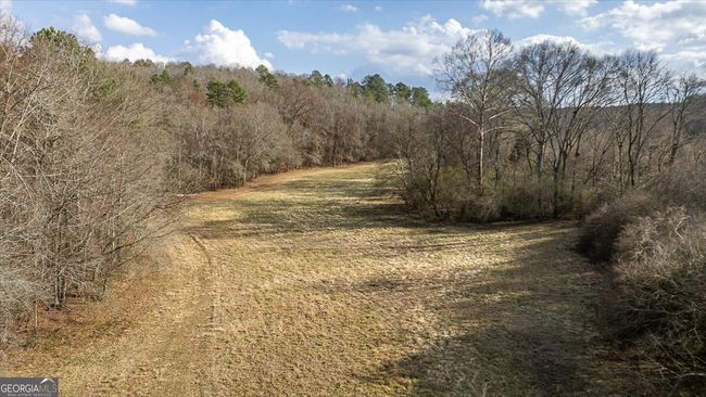 1257 Seymour Rd, House other with 2 bedrooms, 2 bathrooms and null parking in Bowman GA | Image 65