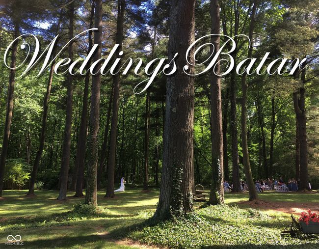 Weddings | Image 37