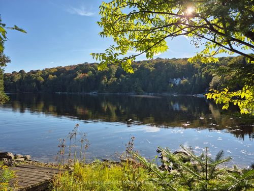 1236 Grace Rd, Minden, ON, K0M2K0 | Card Image