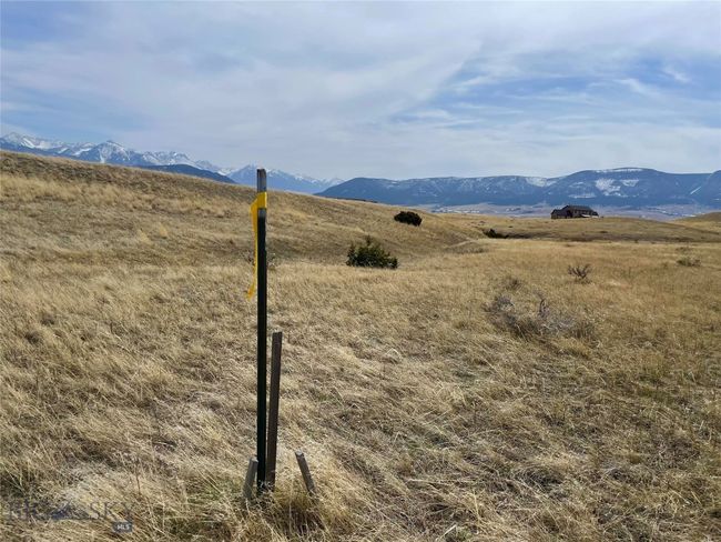 Northwest corner near the road | Image 21